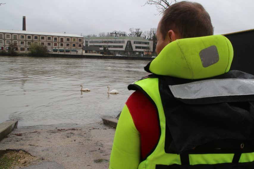 Une dizaine de pompiers ont été déployés sur la Seine pour procéder à un comptage des cygnes touchés par la pollution aux hydrocarbures (Photo D.R.)