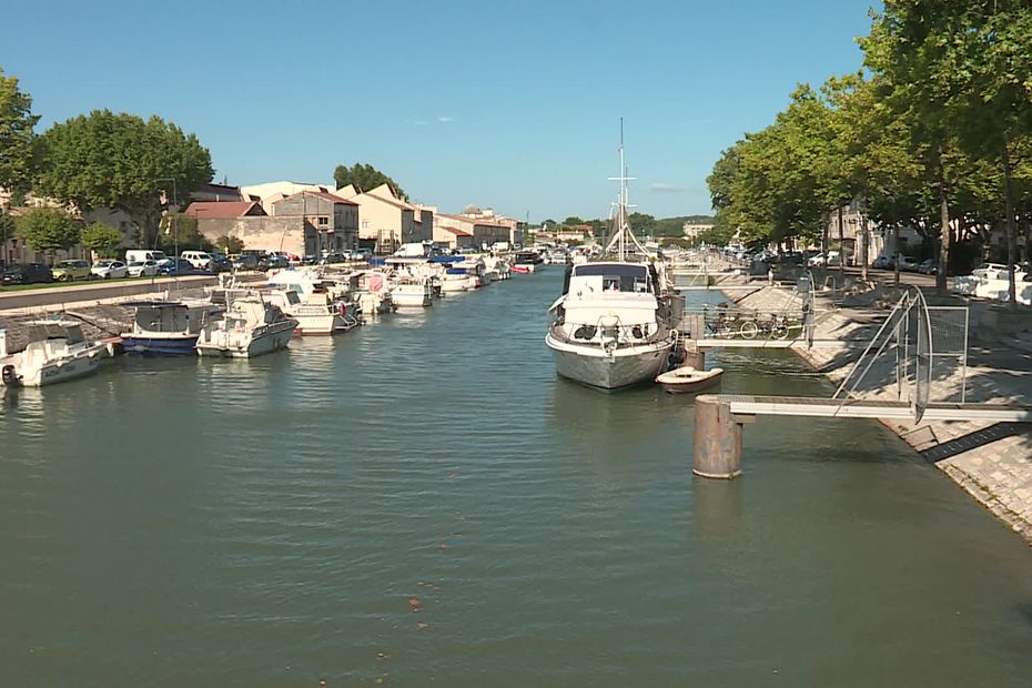 Gard - 230 bateaux sont bloqués dans le port de Beaucaire depuis un an et demi - 19 août 2021. (Photo A.Rozga / FTV)