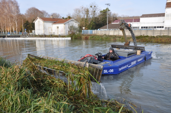 Plante invasive du canal : de la Hollande émerge une solution (Photo D.R.)
