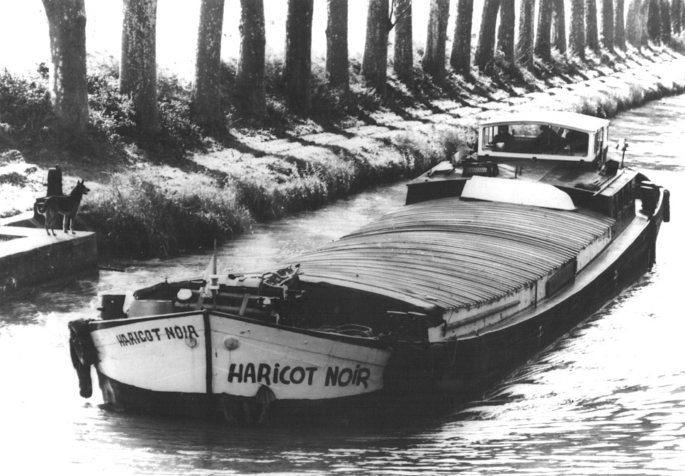 "Le Haricot noir", bateau de fret de 76 à 79 sur le canal du Midi (Photo P.Gaudry)